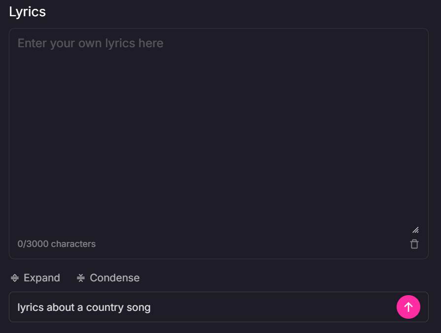 custom lyrics input