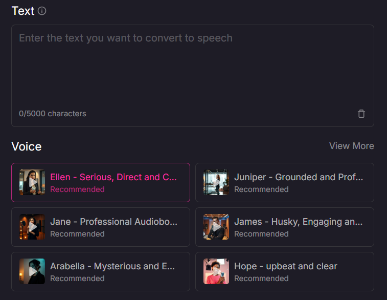 text input and voice selection